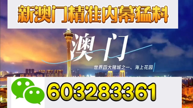 新澳门今晚买什么特马——探索澳门赛马世界的奥秘，澳门赛马世界探索，特马选购指南与奥秘揭秘