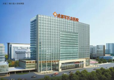 西部战区医院官方网站SEO优化文章，西部战区医院官网SEO优化攻略