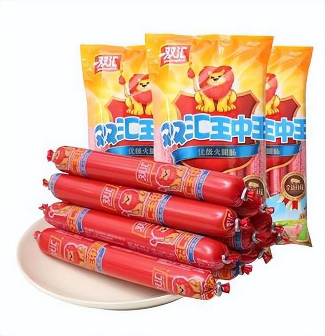王中王资料大全，深度解析与探索，王中王资料大全，深度解析与探索之旅