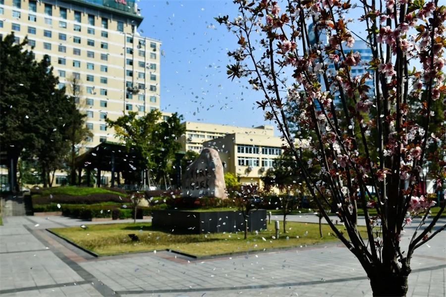 全面解析 第6页