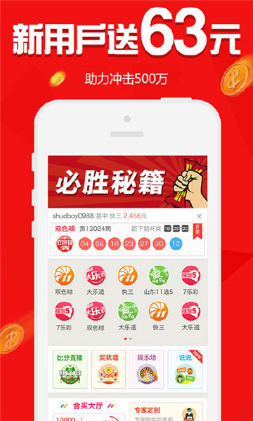 一肖中王中王，揭秘生肖魅力与运势奥秘，揭秘生肖魅力与运势奥秘，一肖中的王者之王