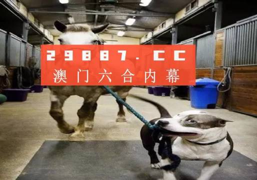 新奥门一肖一马必中——揭秘彩票背后的秘密与策略，揭秘彩票背后的秘密与策略，新奥门一肖一马必中技巧探究