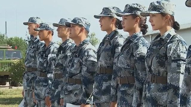 中国人民解放军空军编制组成深度解析，中国人民解放军空军编制组成深度探究