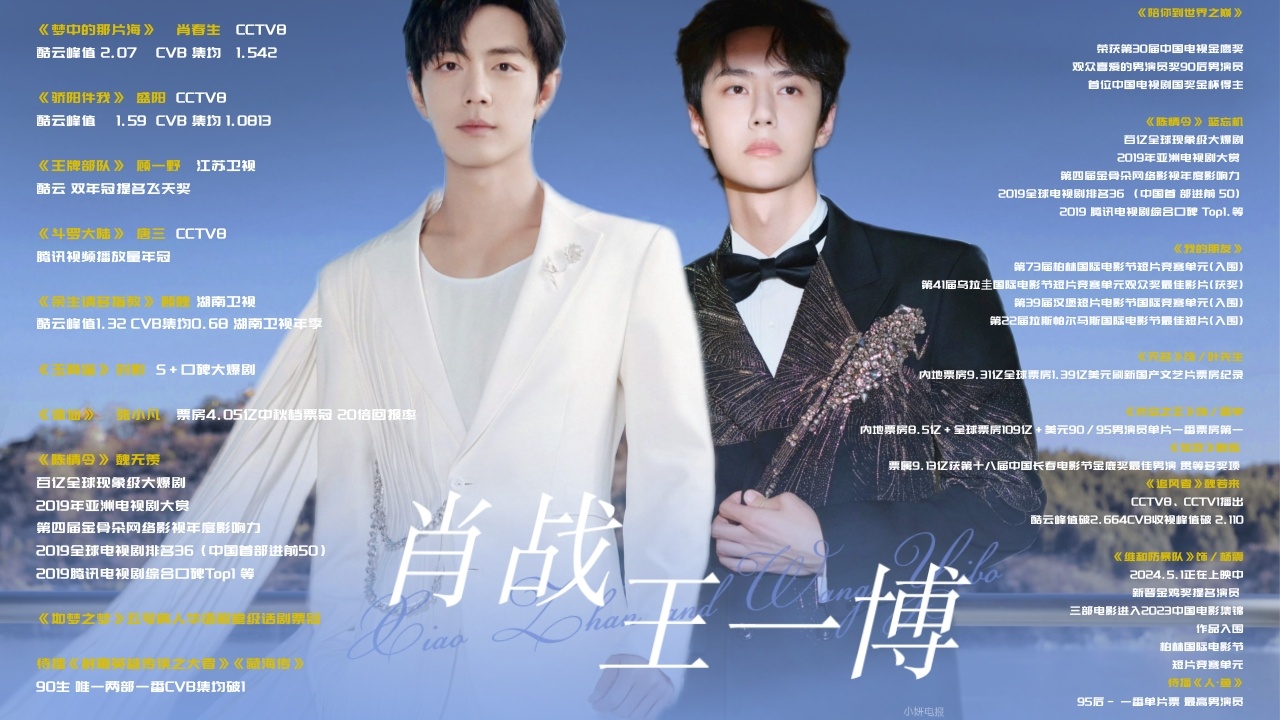 王中王一肖中特期期诠，深度解析与SEO优化策略，王中王一肖特期深度解析与SEO优化策略全攻略