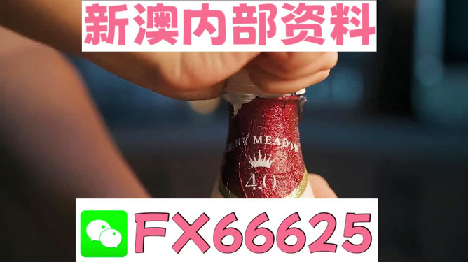 新澳门一码一码，揭秘精准预测的秘密与真相，揭秘澳门一码一码精准预测的秘密与真相