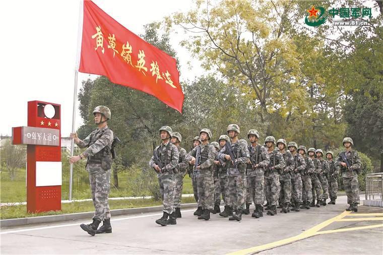 关于中国人民解放军陆军第47集团军撤销的原因分析，中国人民解放军陆军第47集团军撤销的原因深度解析