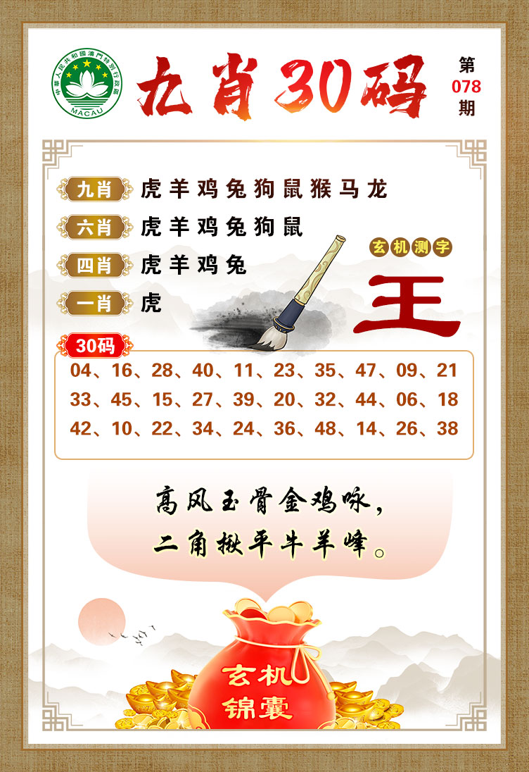 王中王一肖看图找生肖，揭秘生肖奥秘，探寻无限乐趣，揭秘生肖奥秘，王中王一肖看图探趣之旅