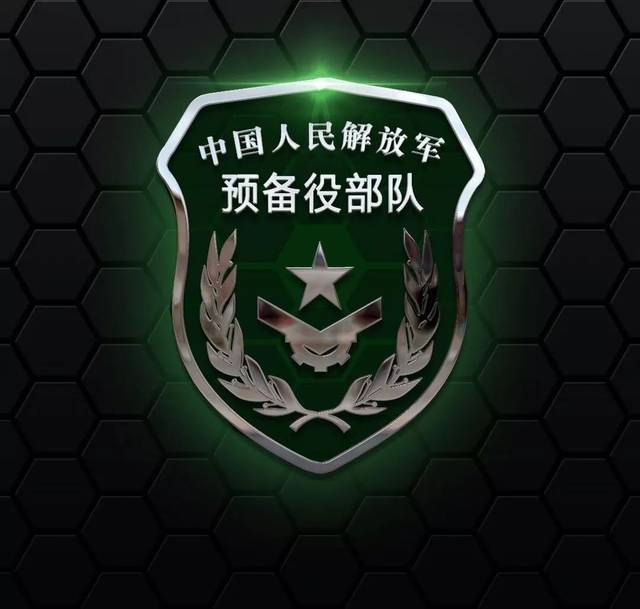中国战略支援部队的组成及其重要性，中国战略支援部队的组成与重要性解析