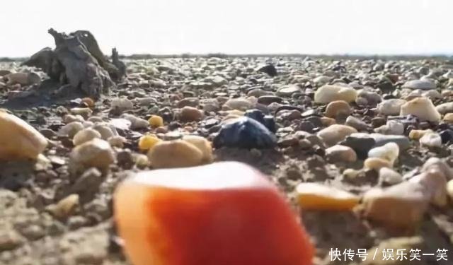 昆仑山捡玉石，探寻神秘宝藏之旅，昆仑山探寻玉石宝藏之旅