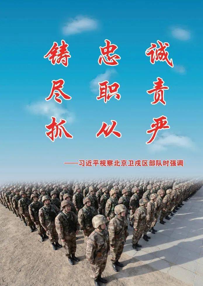 关于2020年强制征兵，深度解析与探讨，2020年强制征兵深度解析与探讨，政策背后的考量与挑战