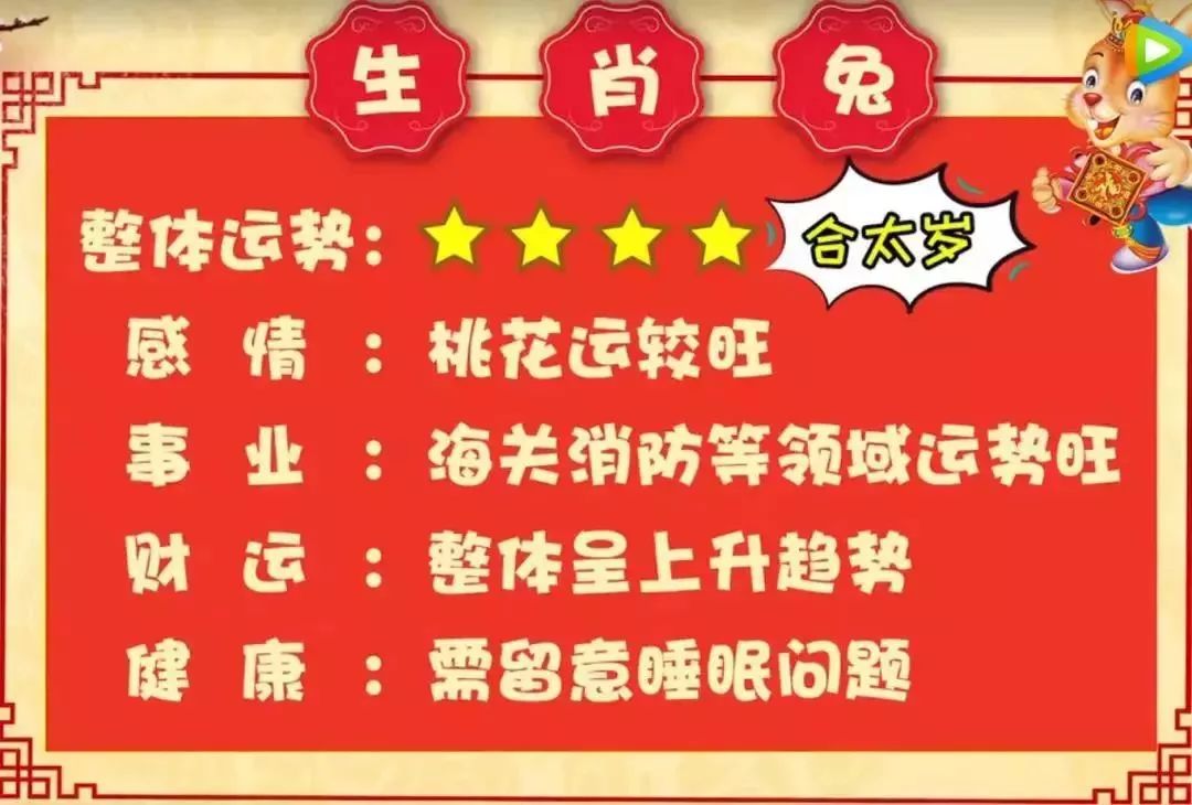 二肖二码，深度解析与SEO优化策略，二肖二码深度解析与SEO优化策略探讨