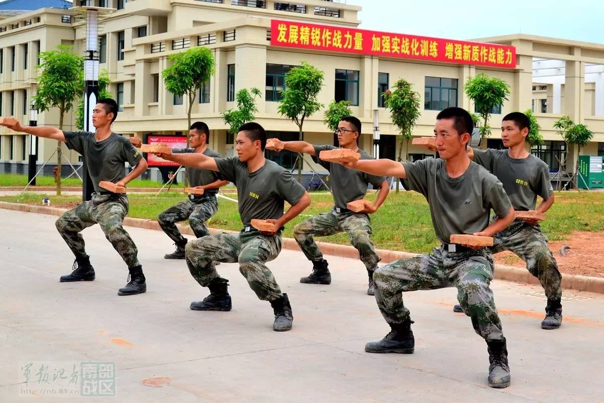 广东惠州74军当兵怎么样，深度解析与体验分享，广东惠州74军当兵深度解析与体验分享