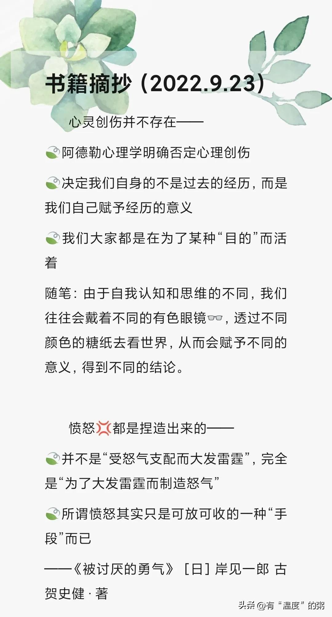 新闻联播经典摘抄，2022年时事回顾与洞察，新闻联播经典回顾，2022年时事的洞察与回顾