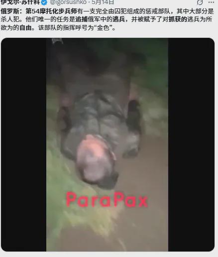 西昌市人民武装部官网SEO优化文章，西昌市人民武装部官网SEO优化策略揭秘