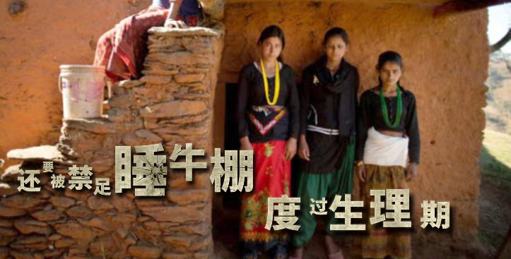 发展趋势深度解析