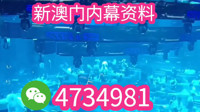 新澳2025今晚开奖资料详解，新澳2025今晚开奖资料全面解析