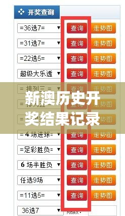 新澳历史开奖记录查询结果及其重要性，新澳历史开奖记录查询结果，揭示与重要性