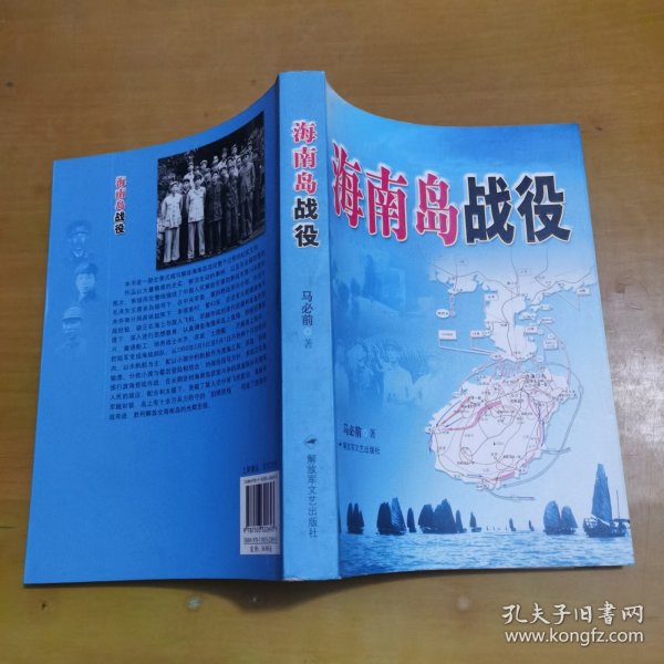 海南岛战役基本情况全面解析，海南岛战役全面解析与回顾