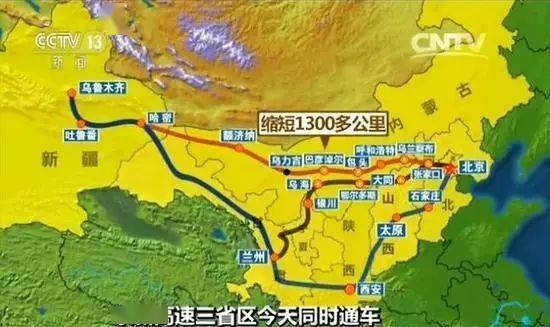 葡萄京王中王中王一肖，探寻背后的故事与奥秘，葡萄京王中王中王一肖，背后的故事与奥秘探寻
