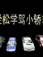 军事频道学车视频教程，掌握驾驶技能，从专业军事频道开始，军事频道学车教程，专业引领，掌握驾驶技能