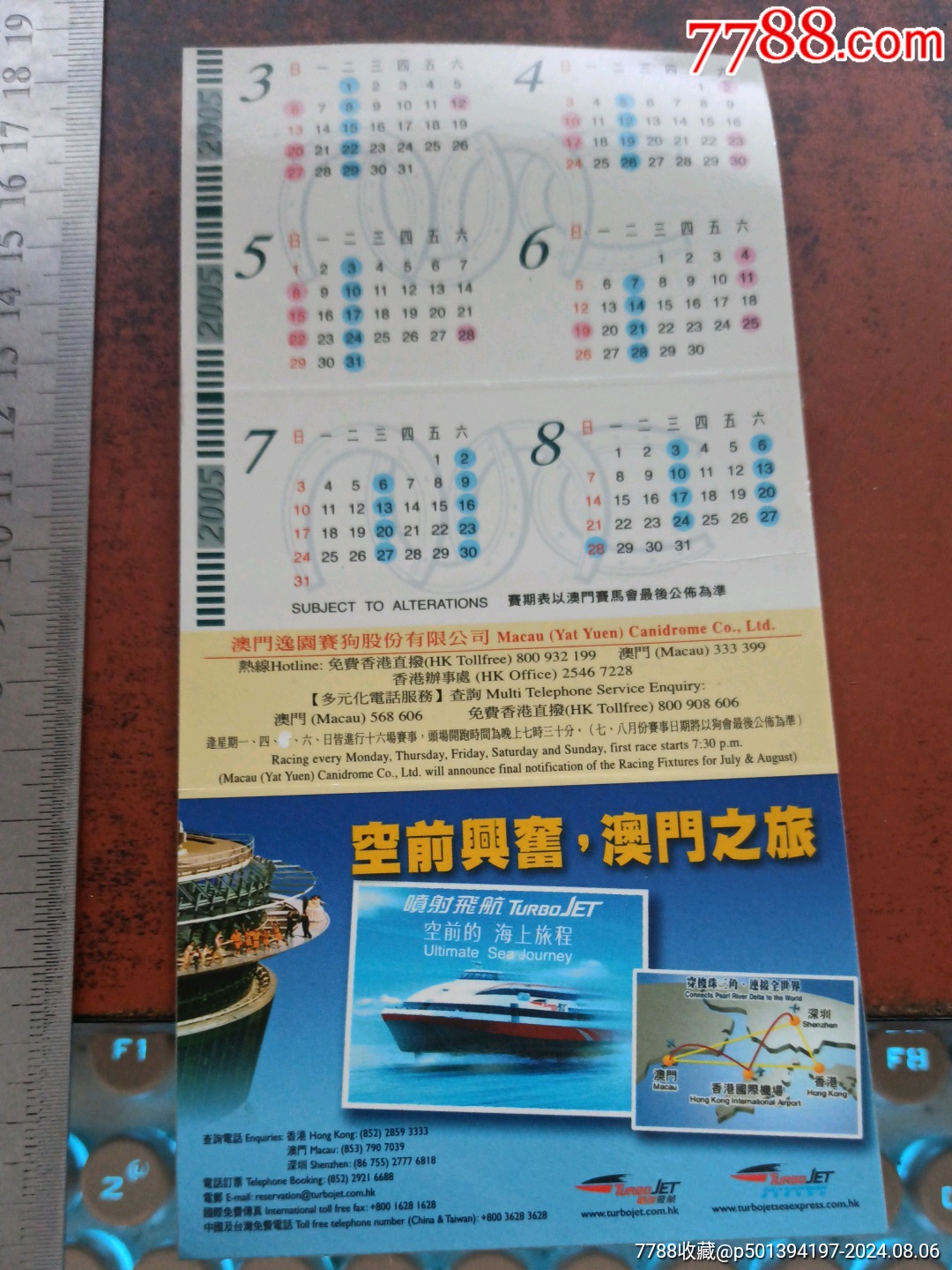 揭秘2004年新澳门一肖一马背后的秘密，揭秘，2004年新澳门一肖一马背后的神秘面纱