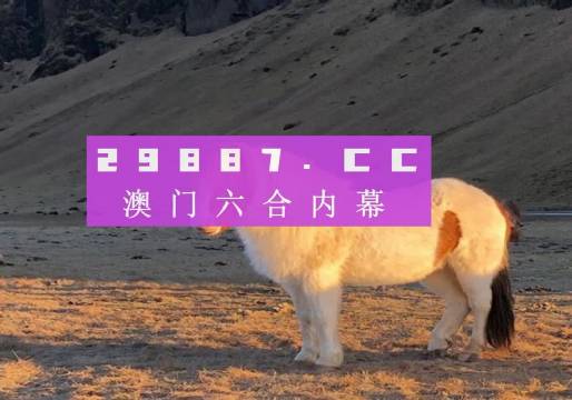 澳门六开彩49开奖结果，揭秘彩票背后的秘密，澳门六开彩49开奖揭秘，彩票背后的秘密大解析