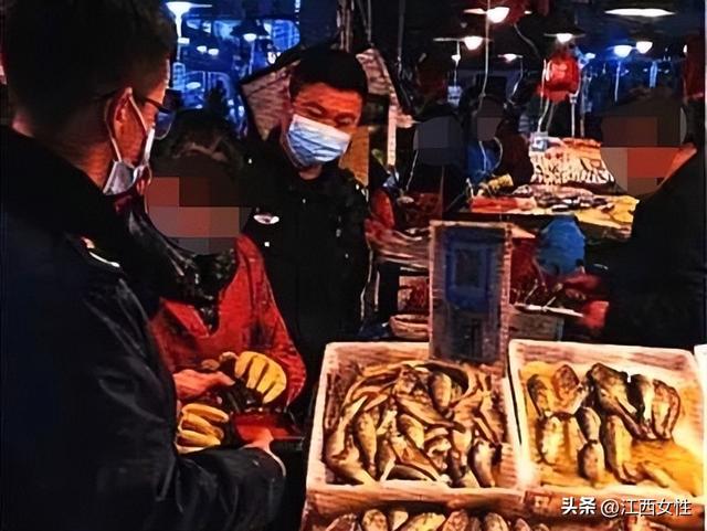 华南海鲜市场老板被判刑事件深度解析，华南海鲜市场老板被判刑事件深度剖析
