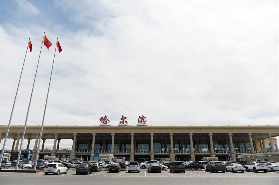 哈尔滨机场最新消息全面解读，哈尔滨机场最新消息全面解读与分析