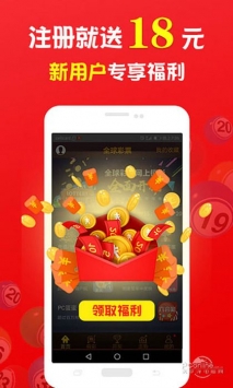 王中王一肖中打一，深度解析背后的故事与奥秘，揭秘王中王一肖背后的故事与奥秘，深度解析与探索