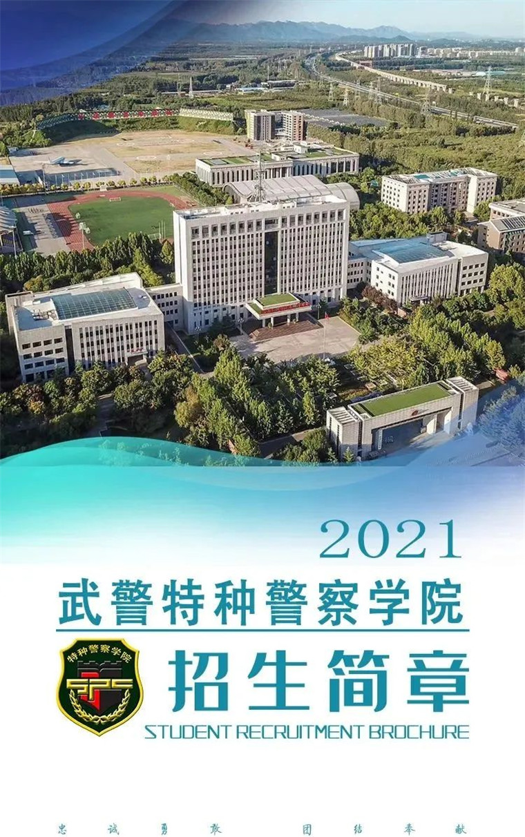 新闻咨询 第353页