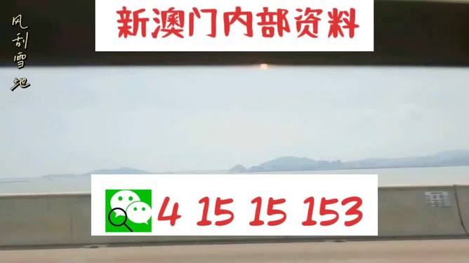 新澳门码精准资料解析与探索，澳门码精准资料解析与深度探索