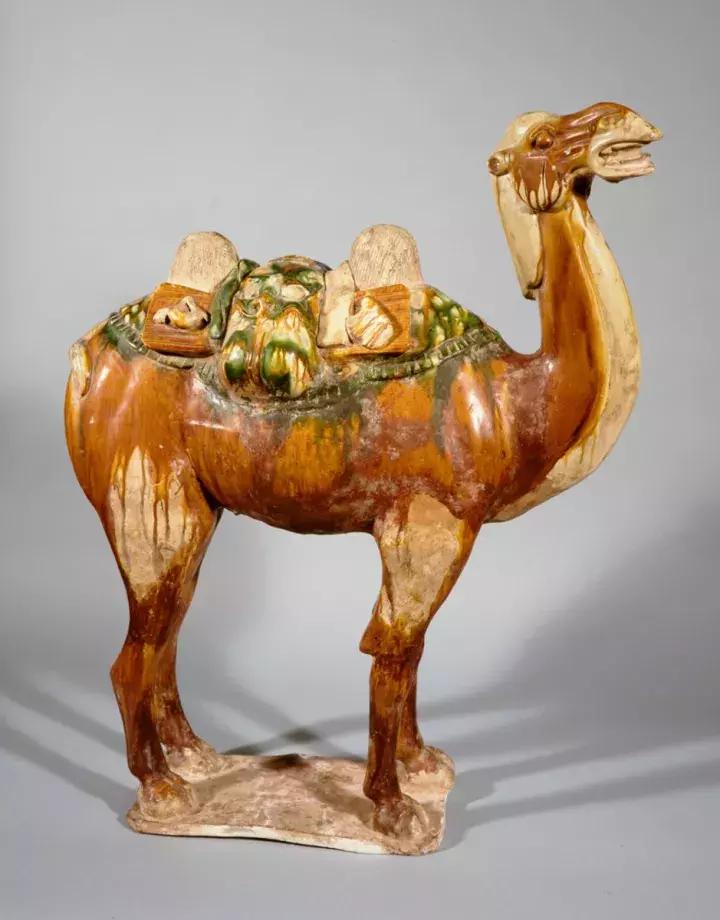 美国仪仗兵图片，历史、传统与荣耀的展现，美国仪仗兵，历史、传统与荣耀的图片展现