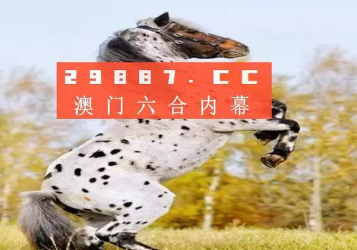 2023澳彩历史开奖结果回顾与解析，回顾解析2023澳彩历史开奖结果