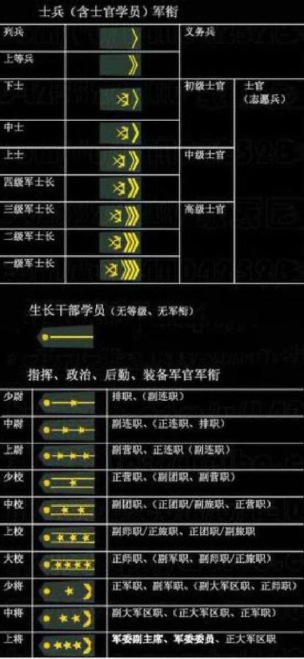 军人技术级别划分，深度解析与探讨，军人技术级别深度解析与探讨