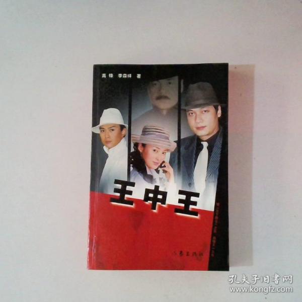 王中王中资料一肖中持com，深度解析与SEO优化，王中王中资料解析与SEO优化深度探讨