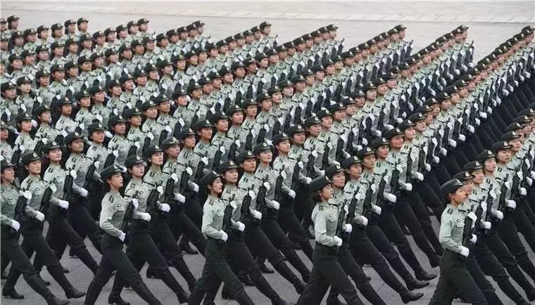 女兵方队资料详解，女兵方队资料全方位解析