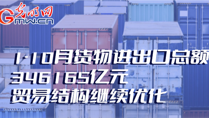 澳门资料免费大全——探索澳门的文化与历史，澳门文化与历史探索，澳门资料免费大全