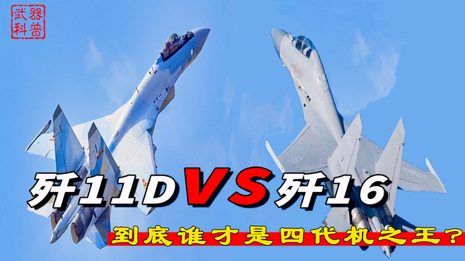 歼-11D价格，深度解析与预测，歼-11D价格深度解析与预测报告