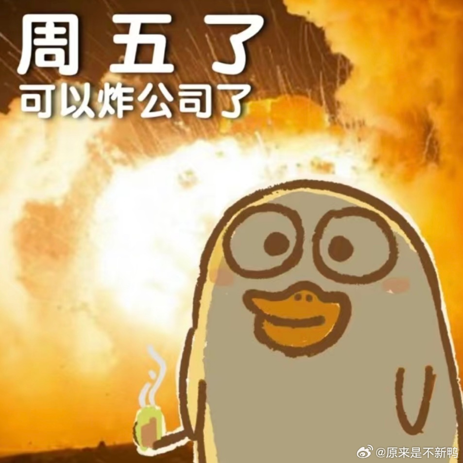 今天周五鸭图片，探索、优化与SEO策略，周五鸭图片探索，优化与SEO策略揭秘