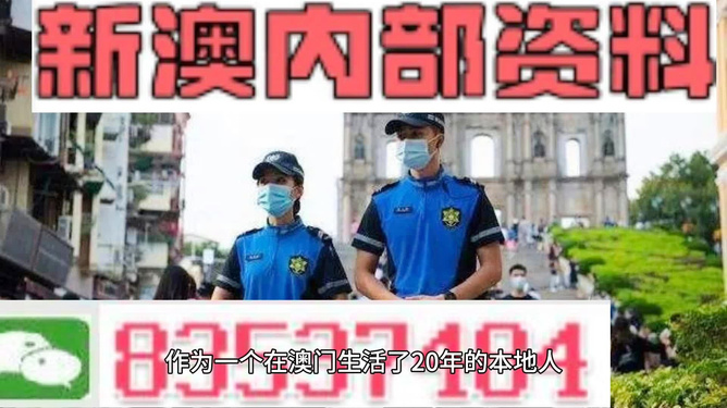 新澳门天天彩期期精准，揭秘彩票背后的秘密策略与技巧，揭秘新澳门天天彩精准策略与技巧，彩票背后的秘密策略揭秘