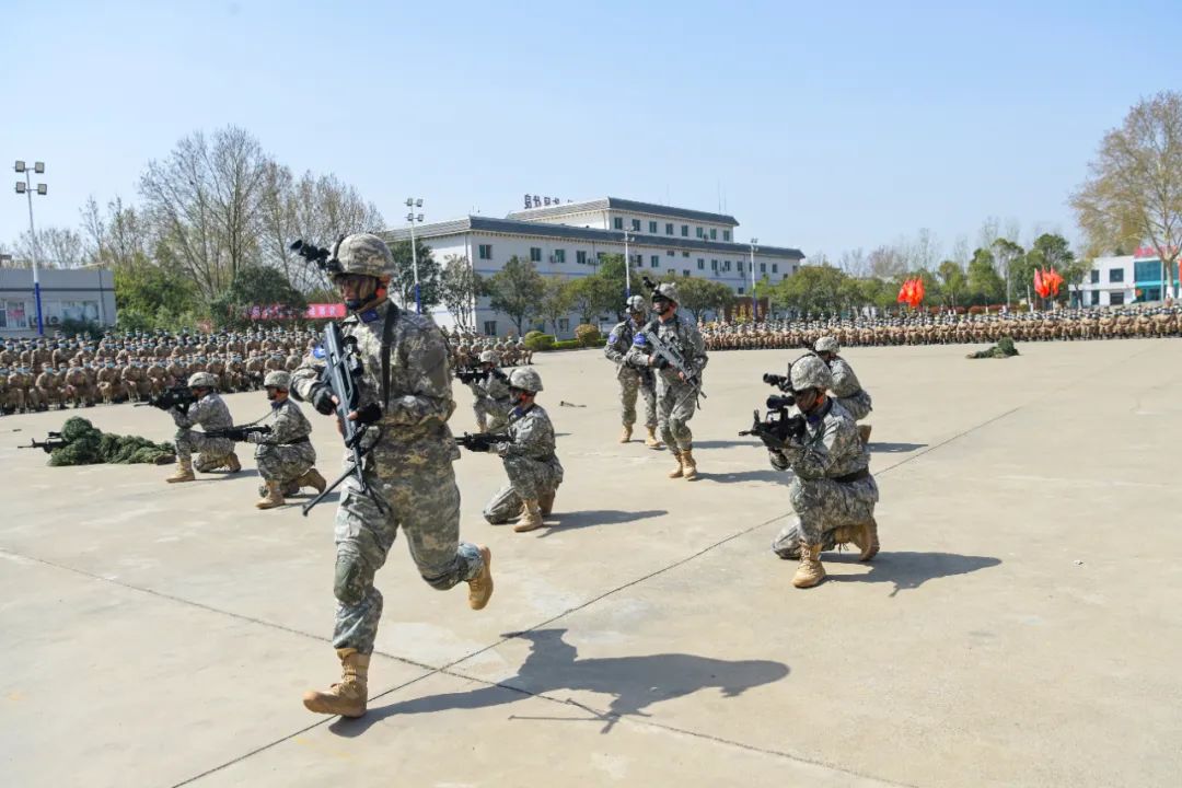 新兵入伍训练项目详解，新兵入伍训练项目全面解析