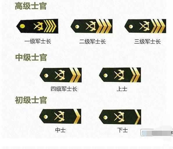 七级士官是什么级别待遇，深度解析，深度解析，七级士官的级别待遇