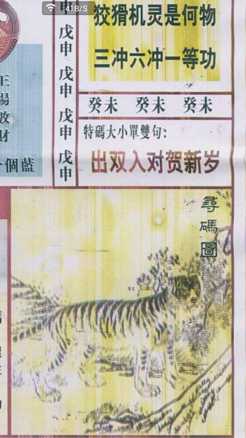 王中王看图找一肖79，揭秘背后的奥秘与技巧，揭秘王中王看图找一肖79背后的奥秘与技巧揭秘