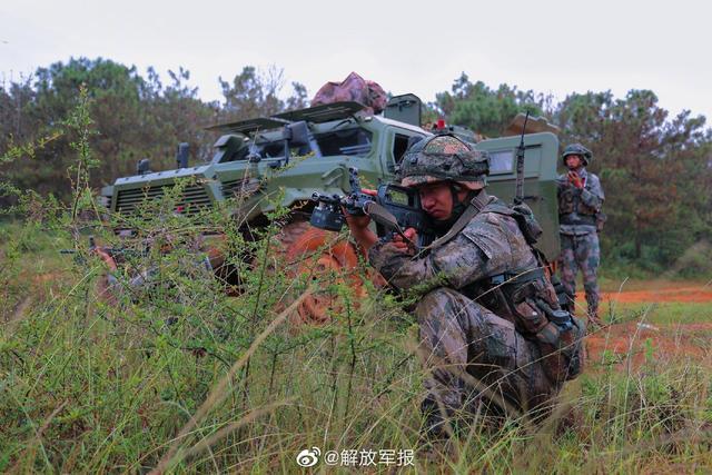 揭秘杨在47集团军的辉煌岁月，195年的荣耀与传承，揭秘杨在47集团军的辉煌岁月，荣耀传承195年之路