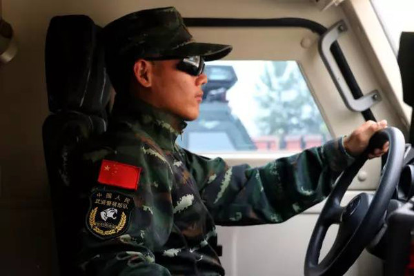 中国武警特战臂章，荣耀与力量的象征，中国武警特战臂章，荣耀与力量的标志
