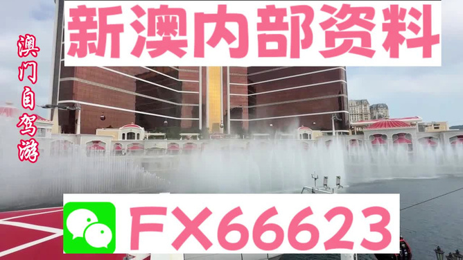 精准一码免费资料大全，探索无尽的资源宝库，精准一码免费资料大全，开启资源宝库的大门