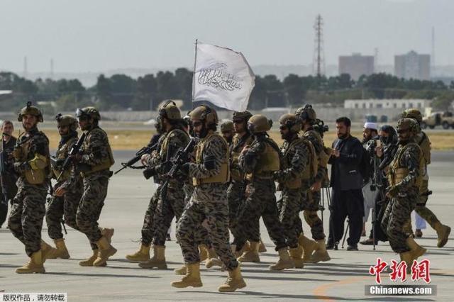 国际特种兵学校概览，探寻全球顶尖特种军事教育机构，全球顶尖特种军事教育机构深度解析，国际特种兵学校概览