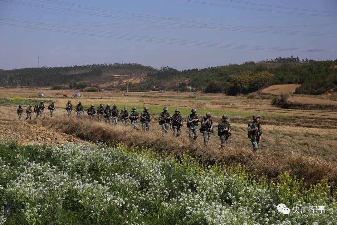 集团军带基地穿越，数字化时代的军事战略转型与战术创新，集团军带基地穿越，数字化时代的军事战略与战术创新探索