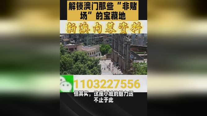 澳门今晚必开一肖一特北京，深度解析与预测，澳门今晚必开一肖一特深度解析与预测报告