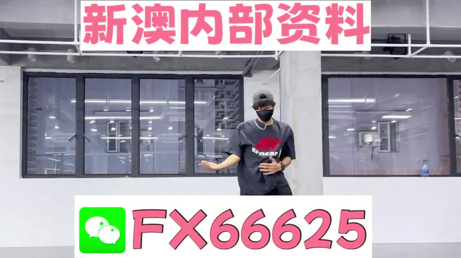 澳门管家婆100中，探索其神秘面纱与实用指南，澳门管家婆100，揭开神秘面纱与实用指南探索
